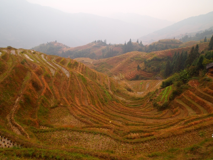 rice terraces on the way from Ping'An to Longji