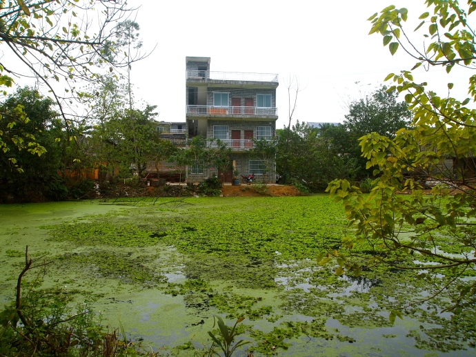 village homes and pond