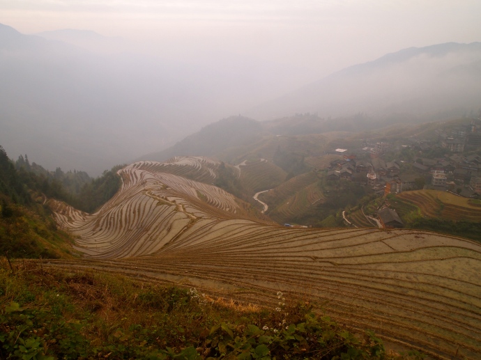 Nine Dragons & Fiver Tigers rice terraces in Ping'An