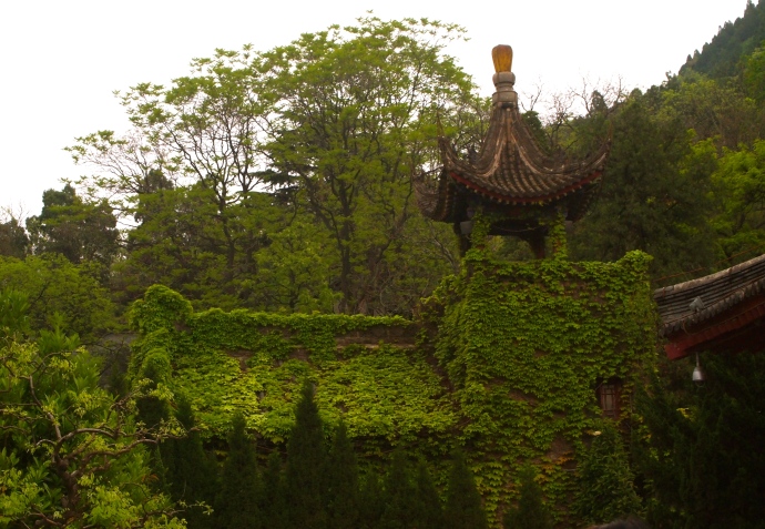 Ivy-covered buildings at Huaqing Hot Springs