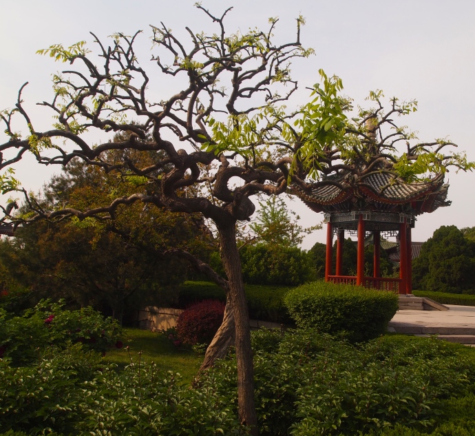 Gardens at Huaqing Hot Springs